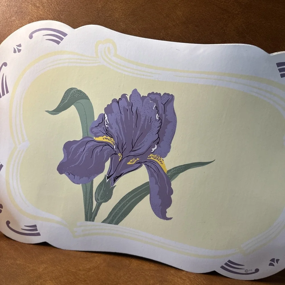 Iris Vinyl Place Mats Set Of 8